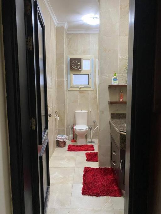 Peaceful apartment in New Cairo