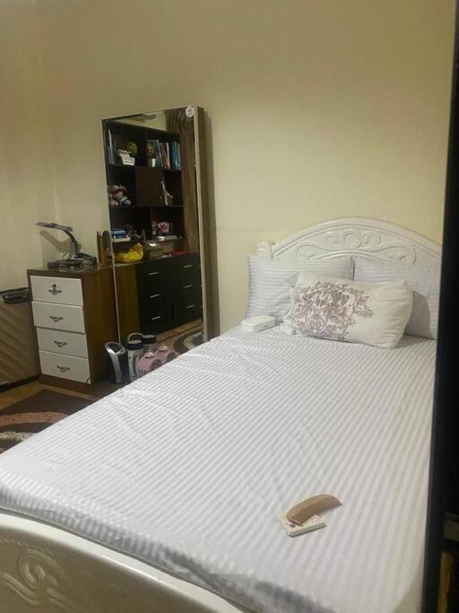 Peaceful apartment in New Cairo