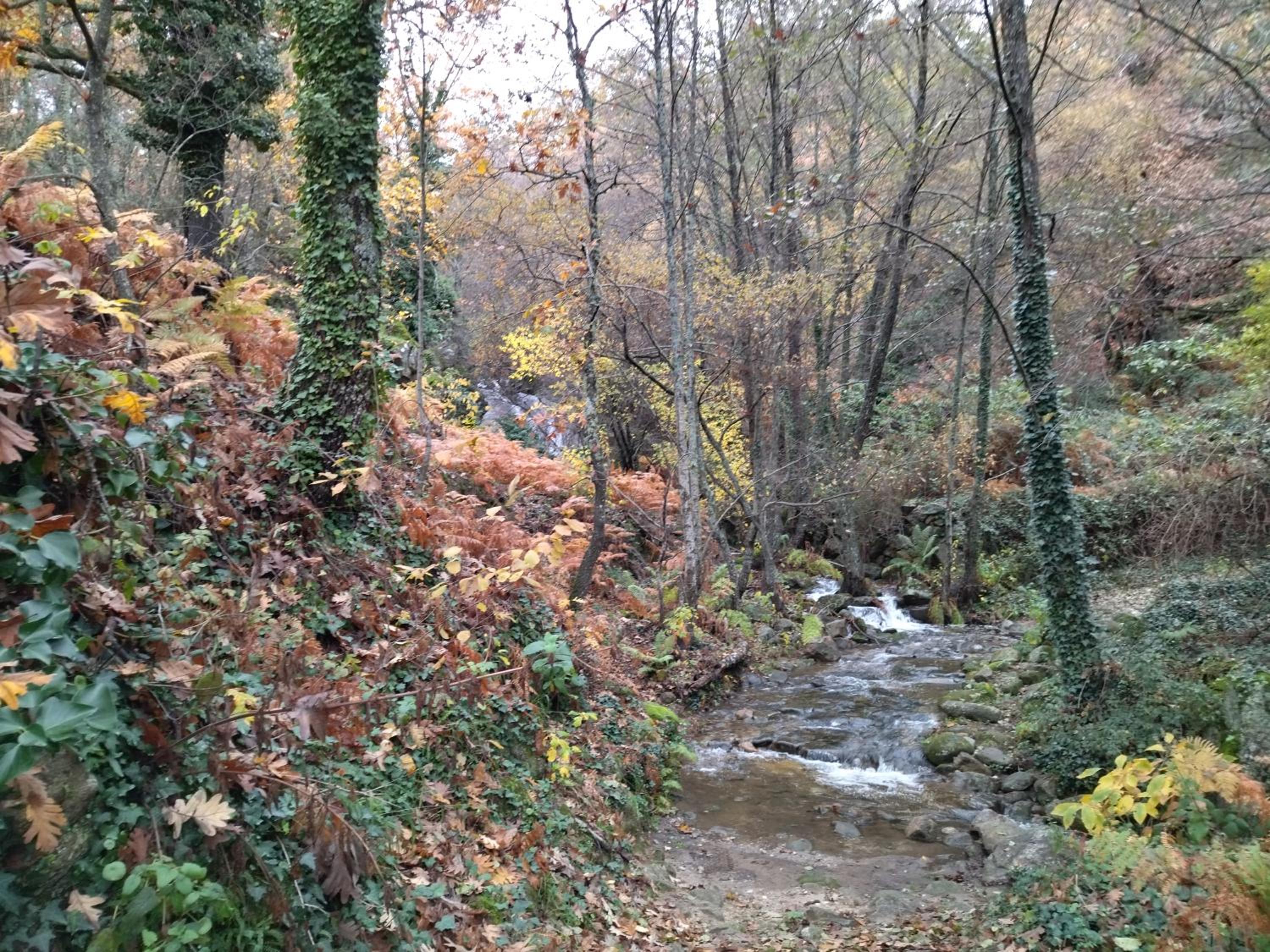 EL BALCÓN PANORÁMICO DE GREDOS