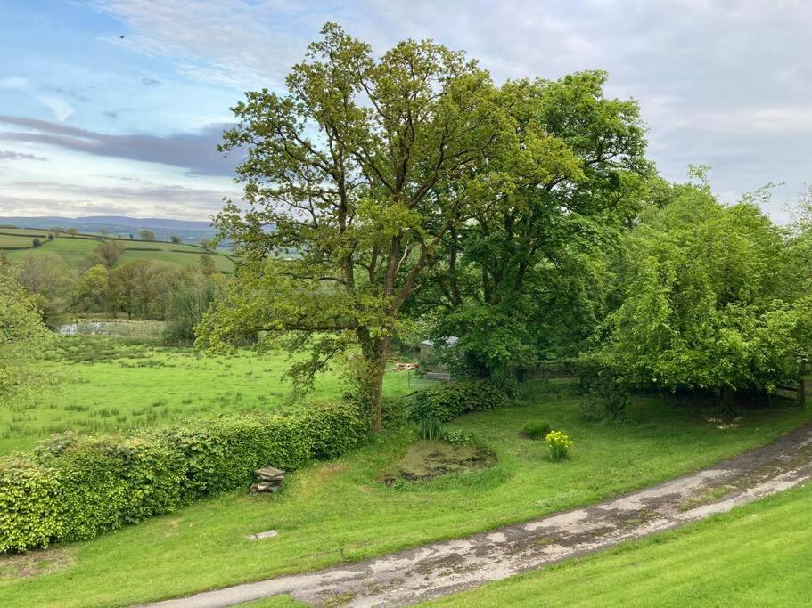 Beautiful Garden Cottage, close to Llandeilo.