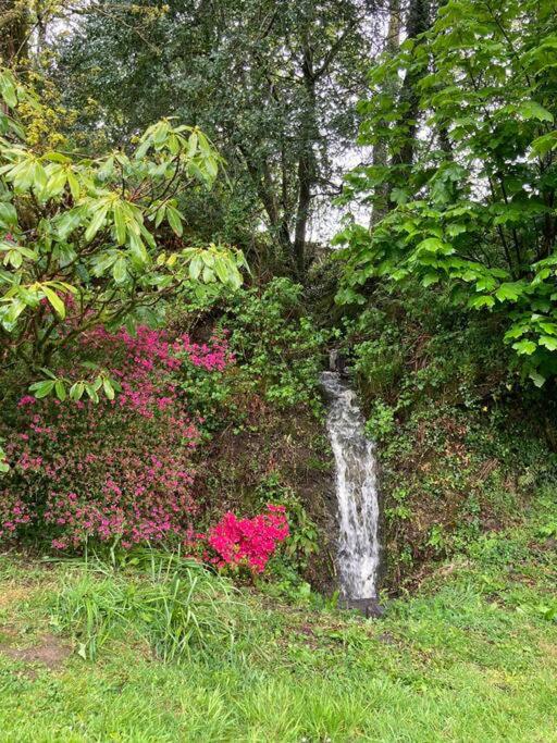 Beautiful Garden Cottage, close to Llandeilo.