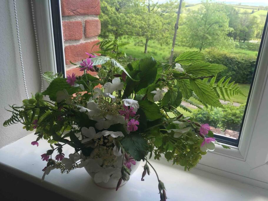 Beautiful Garden Cottage, close to Llandeilo.