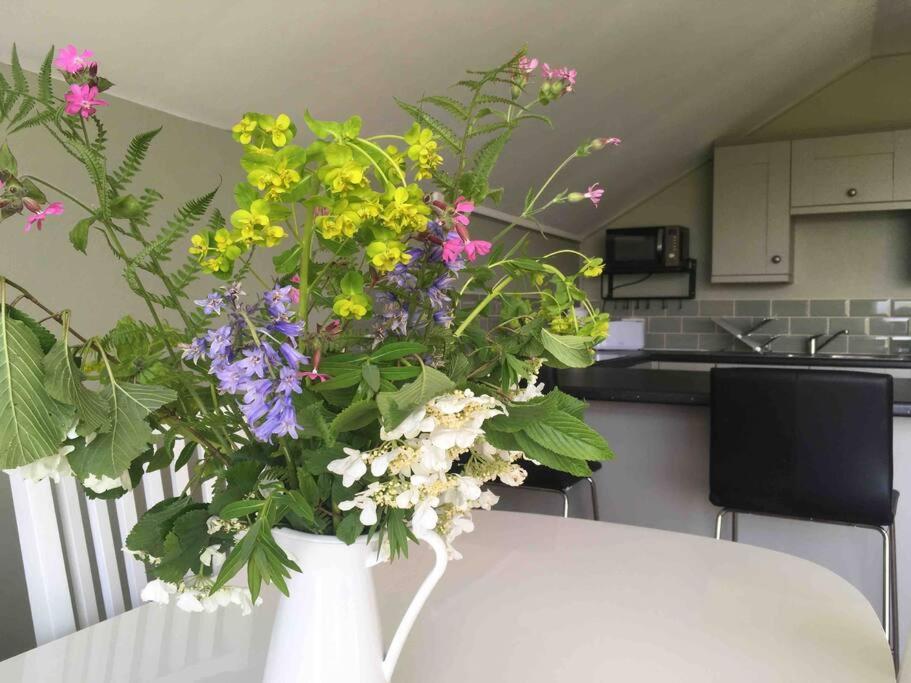 Beautiful Garden Cottage, close to Llandeilo.