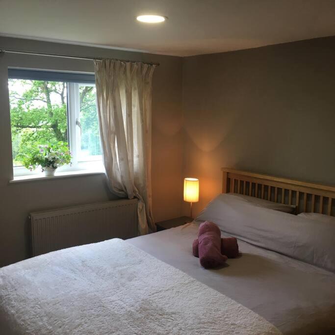 Beautiful Garden Cottage, close to Llandeilo.