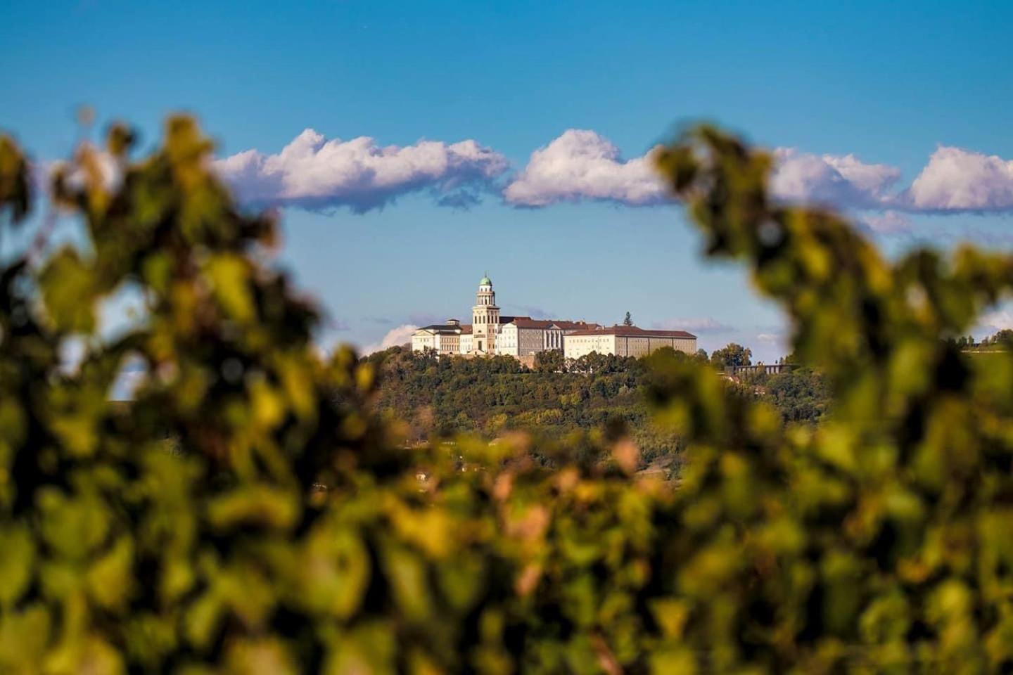 Pannonhalma Várlak Vendégház