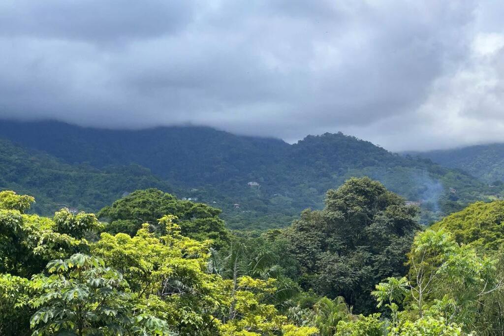 Brand New, Modern Jungle Villa