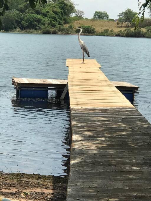 Chalé do lago no campo em Zacarias SP
