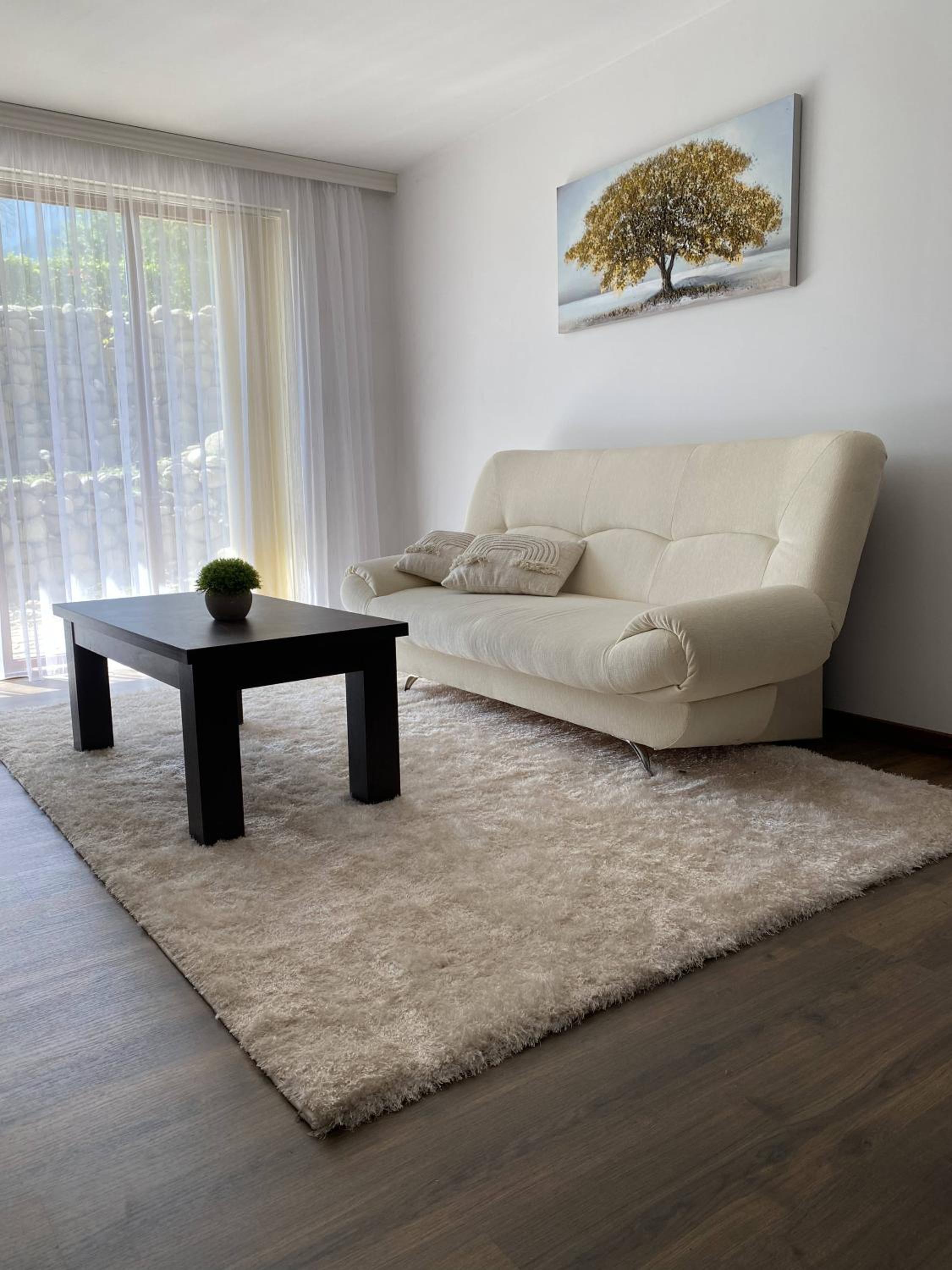 Large One Bedroom with Terrace next to the Ski Lift