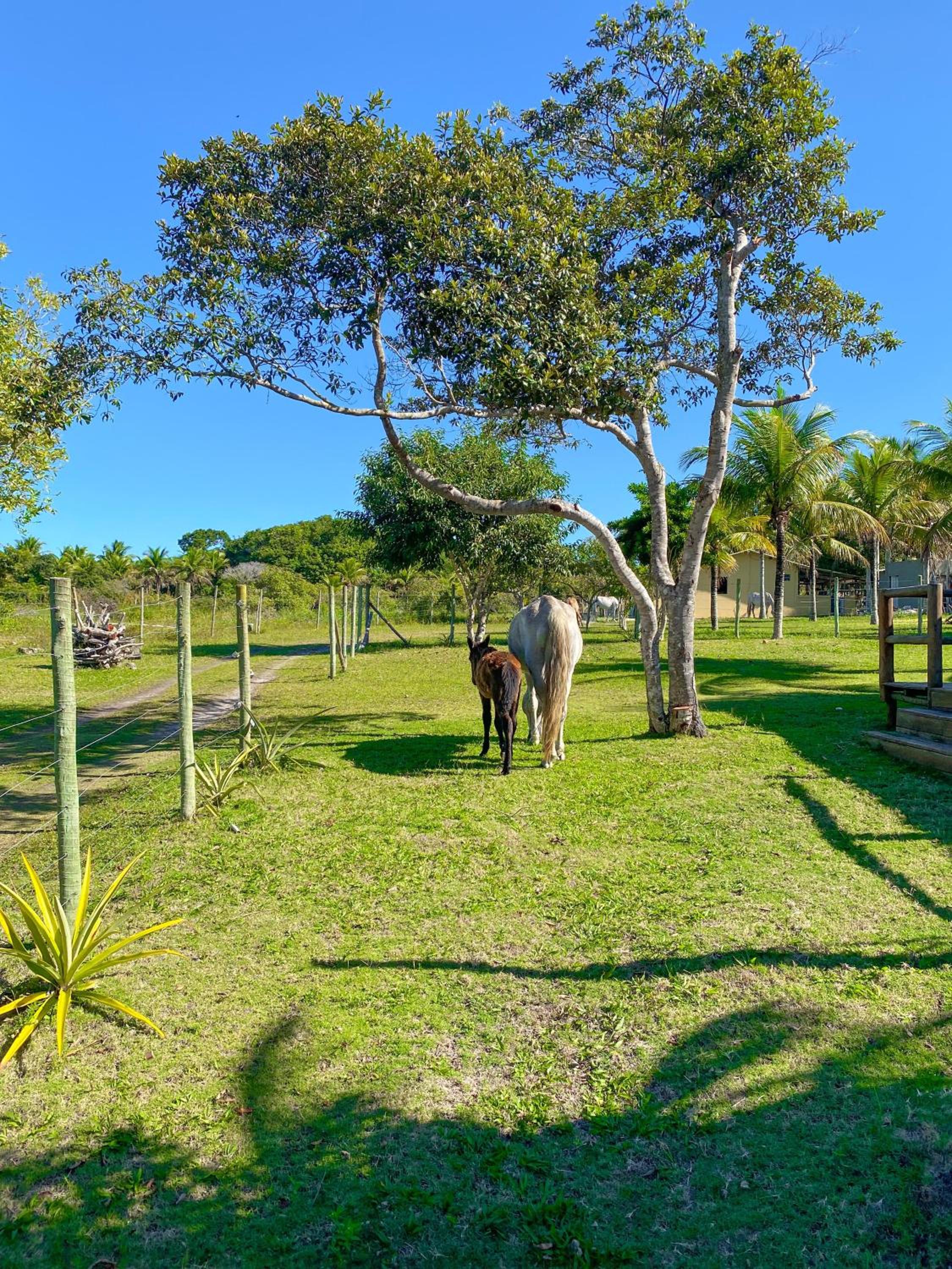 Casa Coqueiral