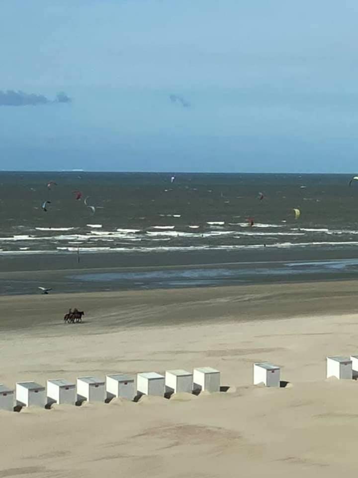Dunenestje