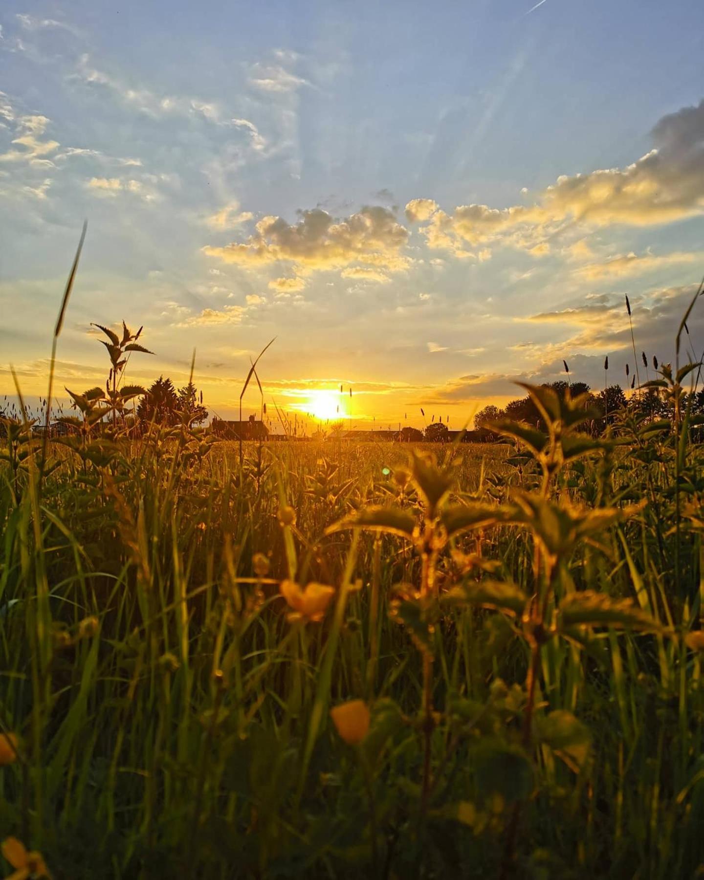 Devizes Vacations - The West Wing - Property Image 18