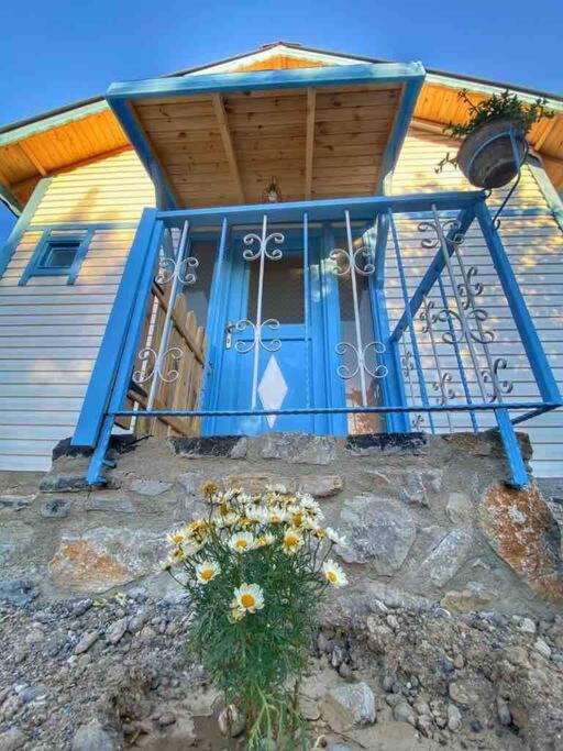 Villa Rengin Datça (Havuzlu) Günlük Haftalık Kiralık view 3