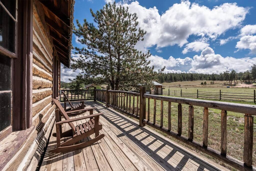 New! Historic Chalet in Colorado National Forest view 4