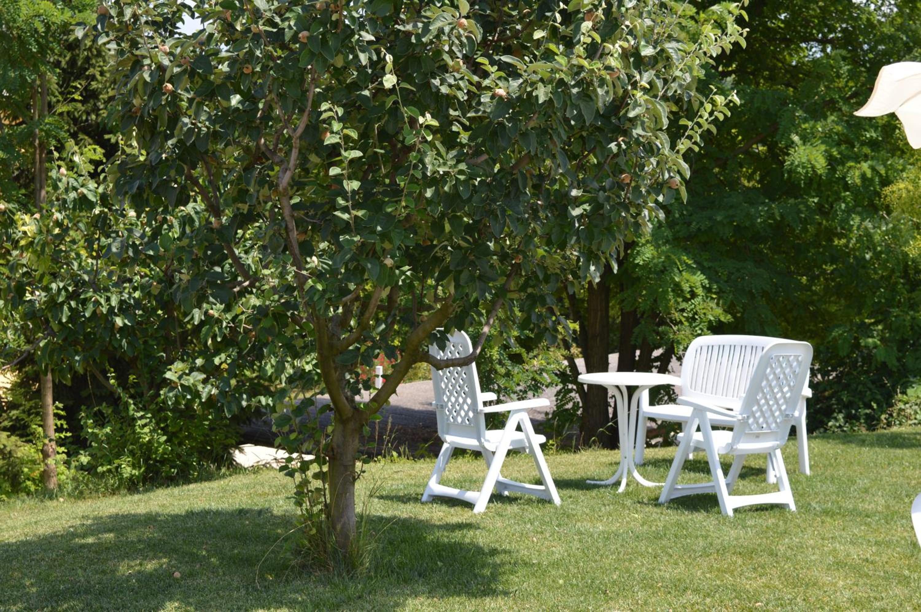 outdoor BBQ area