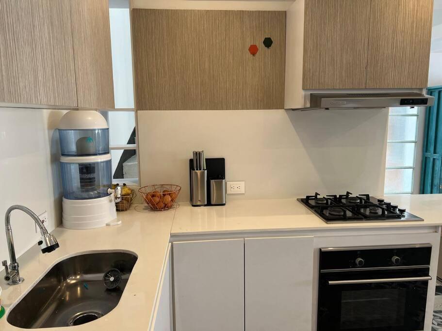 Duplex (1BR) apartment at Zona G