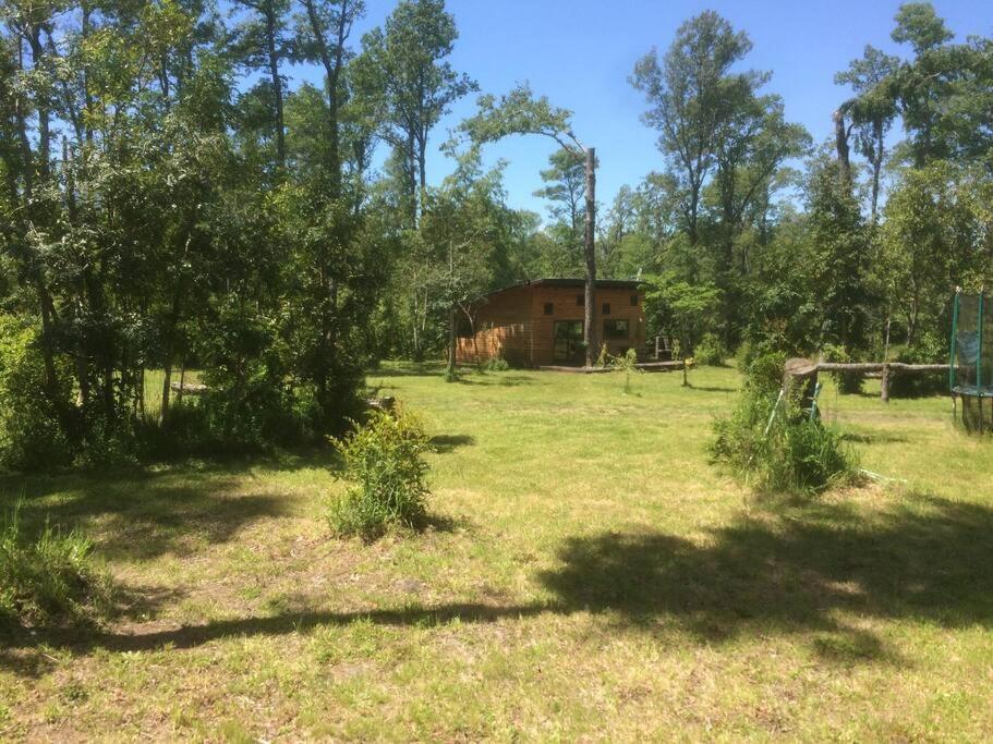 Cabañas Pucon Location