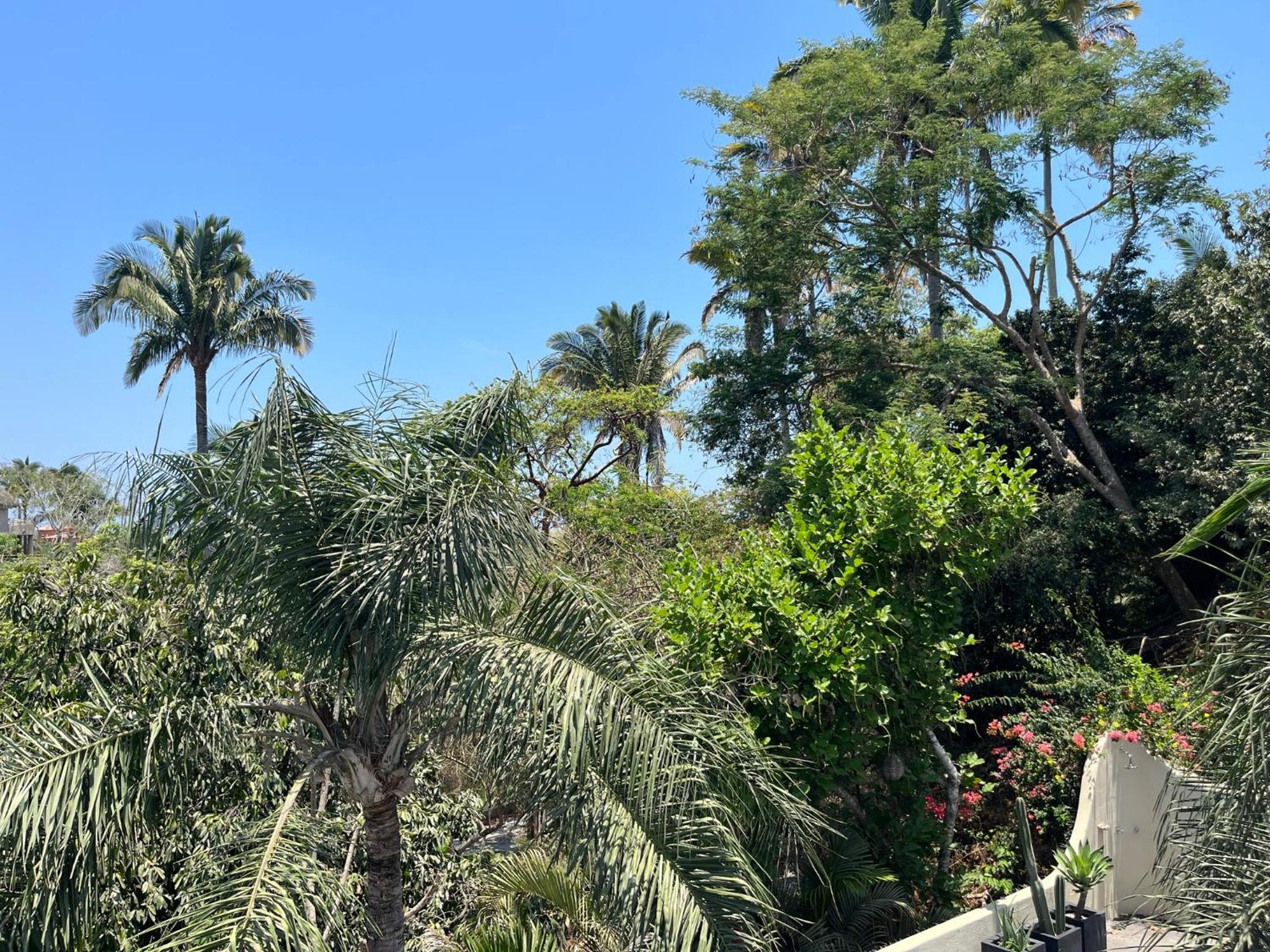 Casa Barefoot Private 2BR Vacation Home