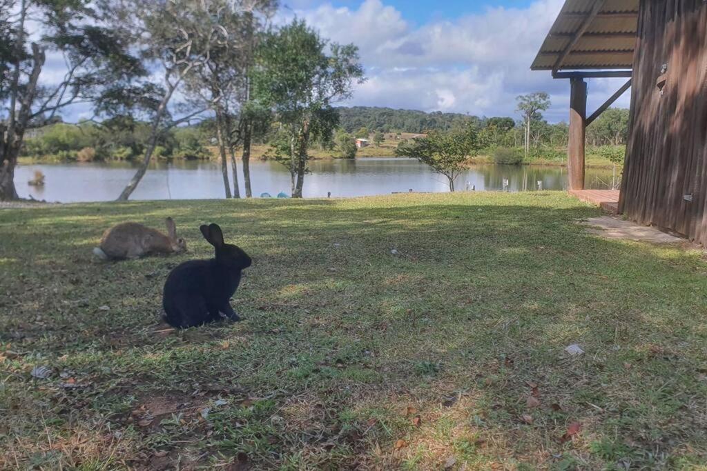 Cabana no alto do morro