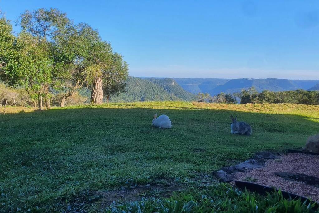 Cabana no alto do morro