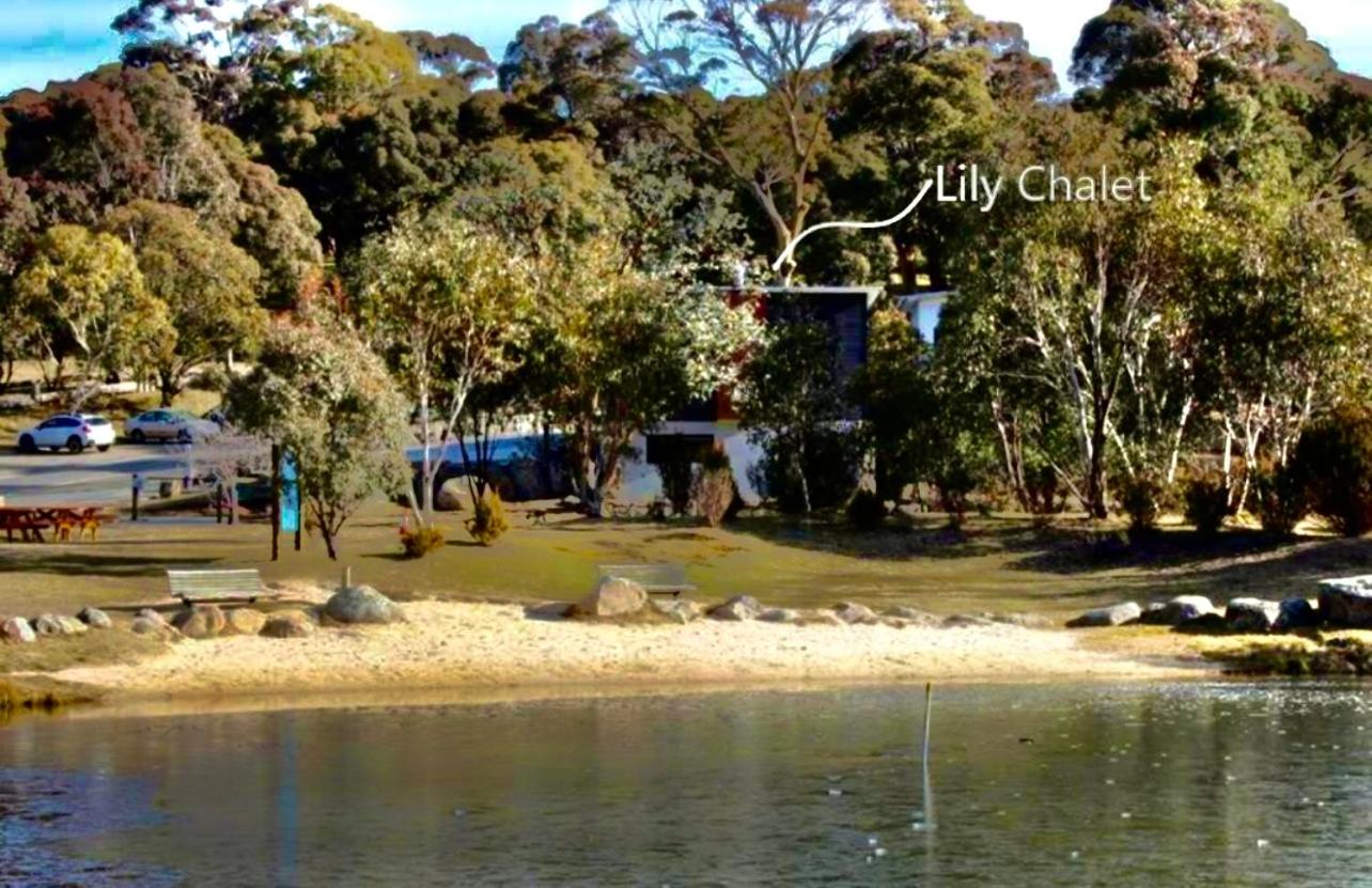Lily Chalet