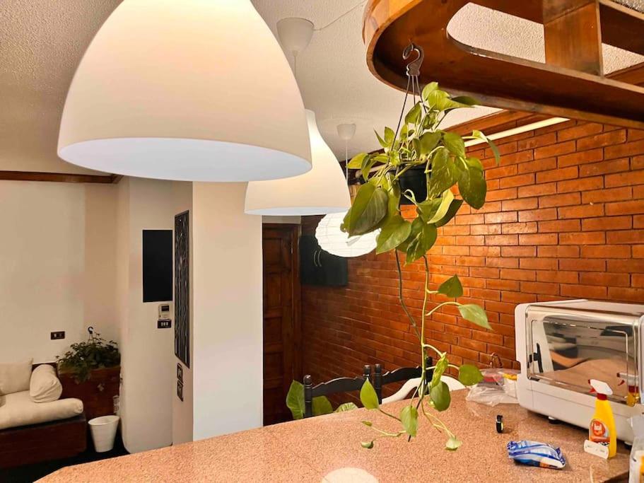 Cozy Apartment in Degla Maadi