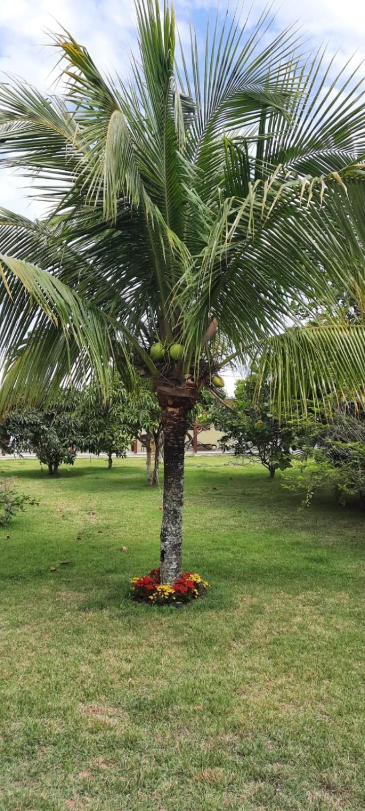 Pousada da Drica