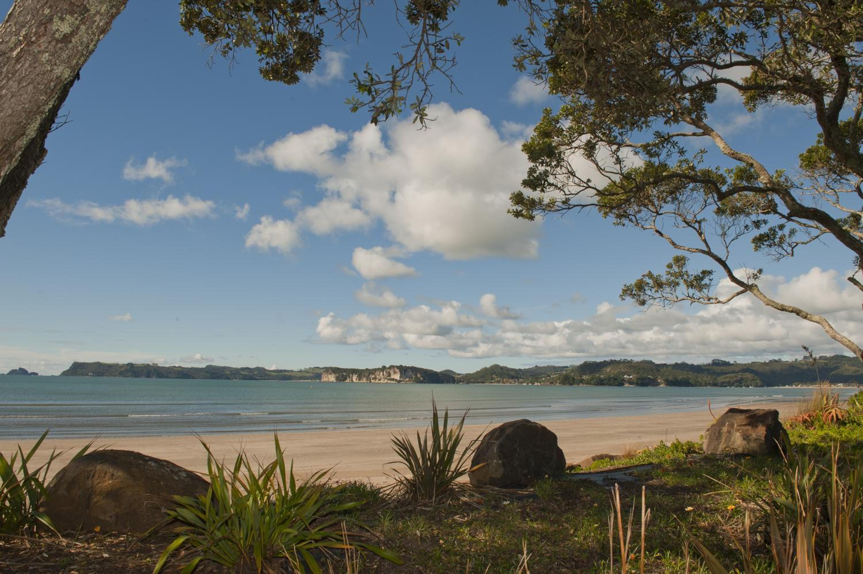 Beachfront Resort