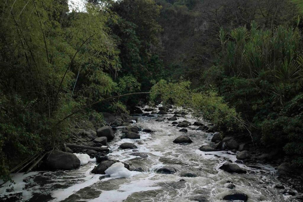 Cabaña en el cañón + aves + rio + baile de nubes