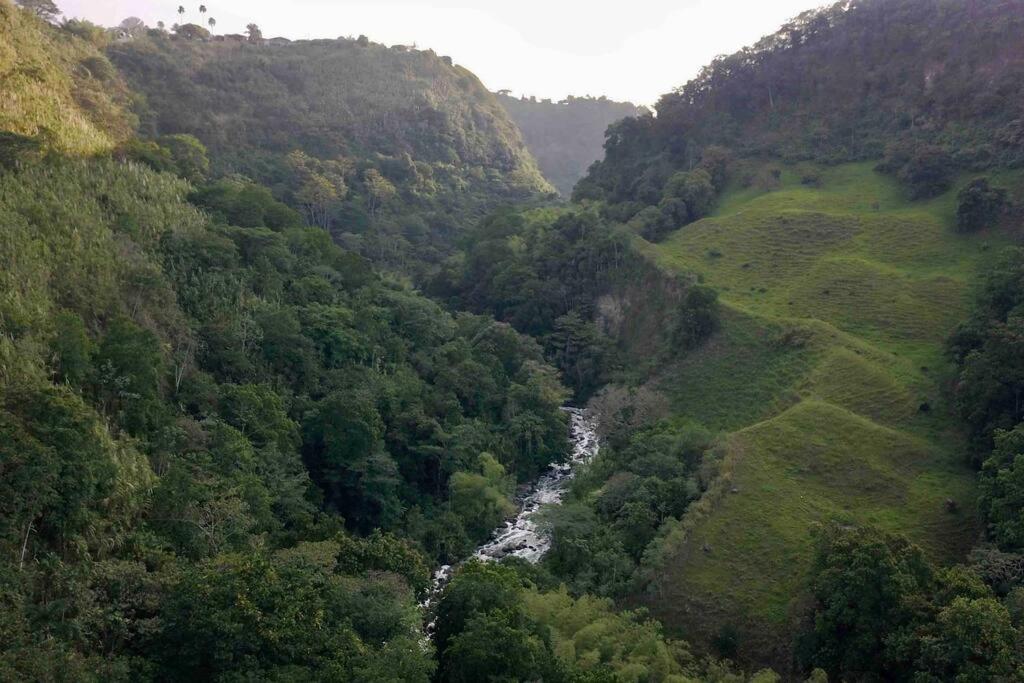 Cabaña en el cañón + aves + rio + baile de nubes