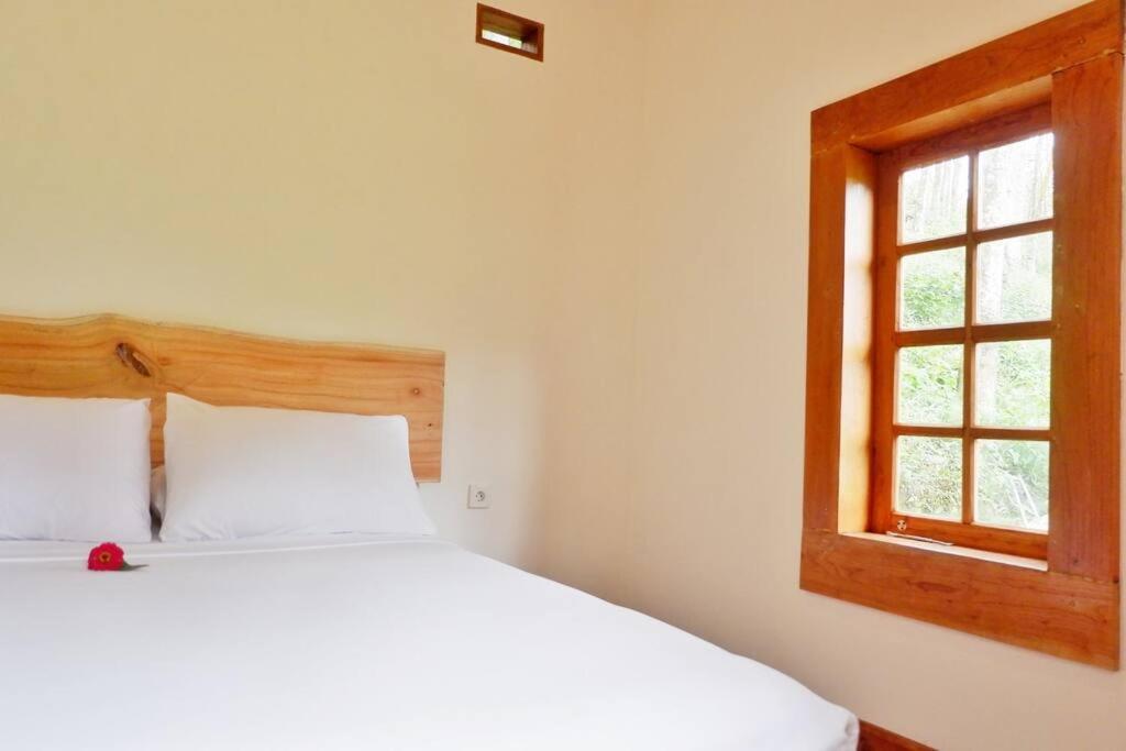 Kawisari Plantation Lodge view 2