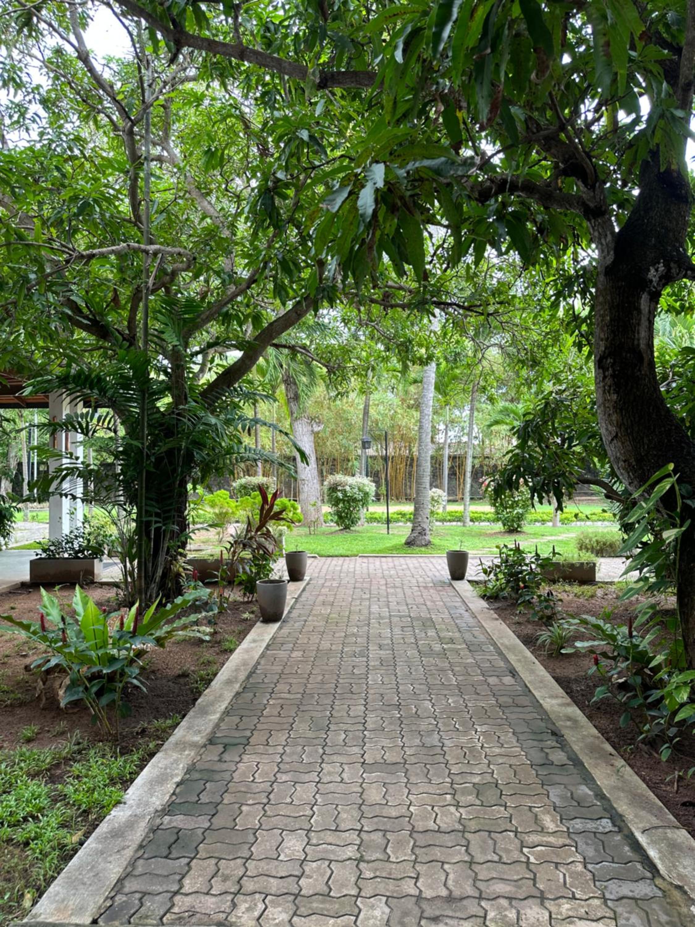 Amaluna Resorts — photo 98
