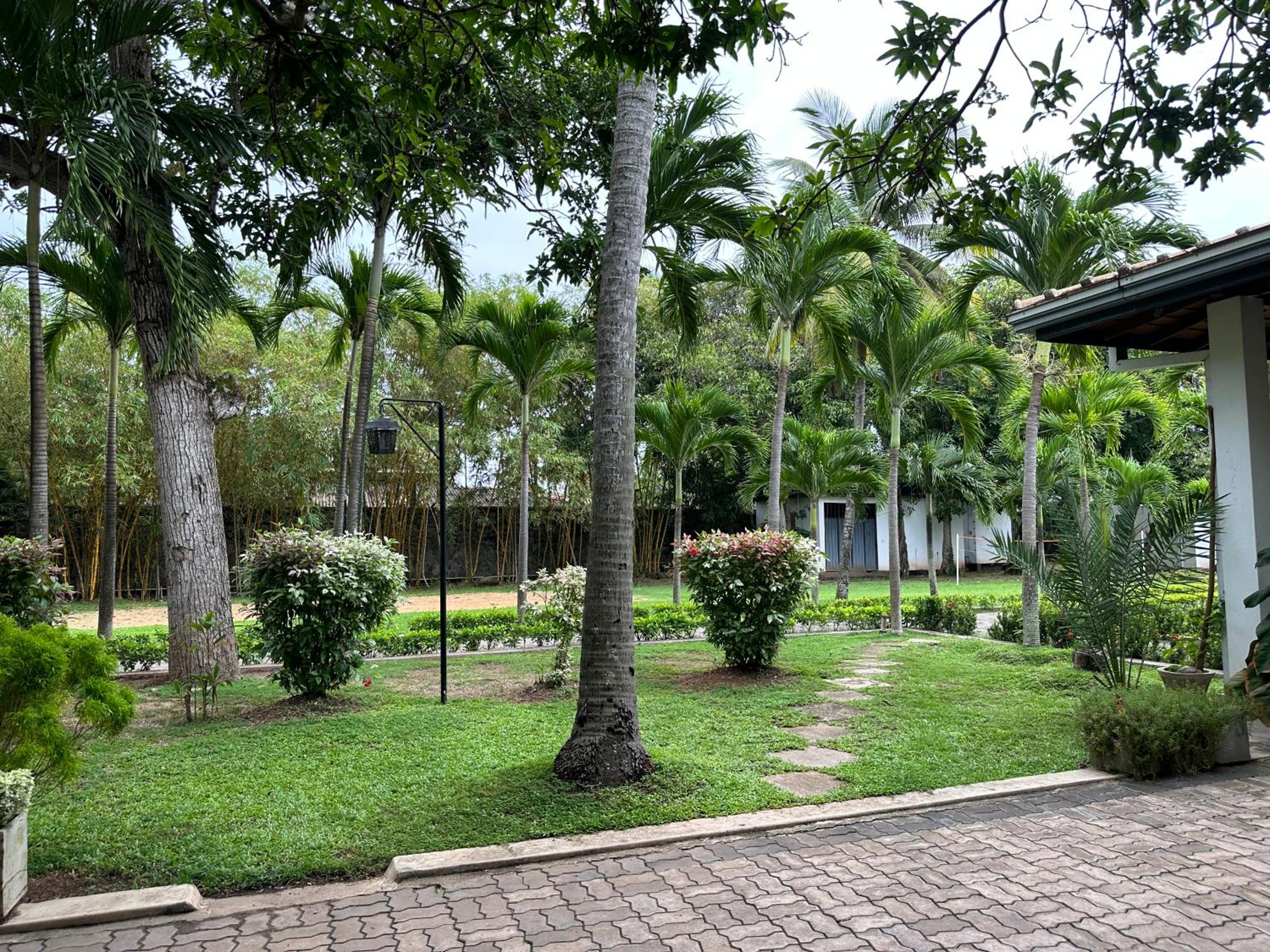 Amaluna Resorts — photo 21
