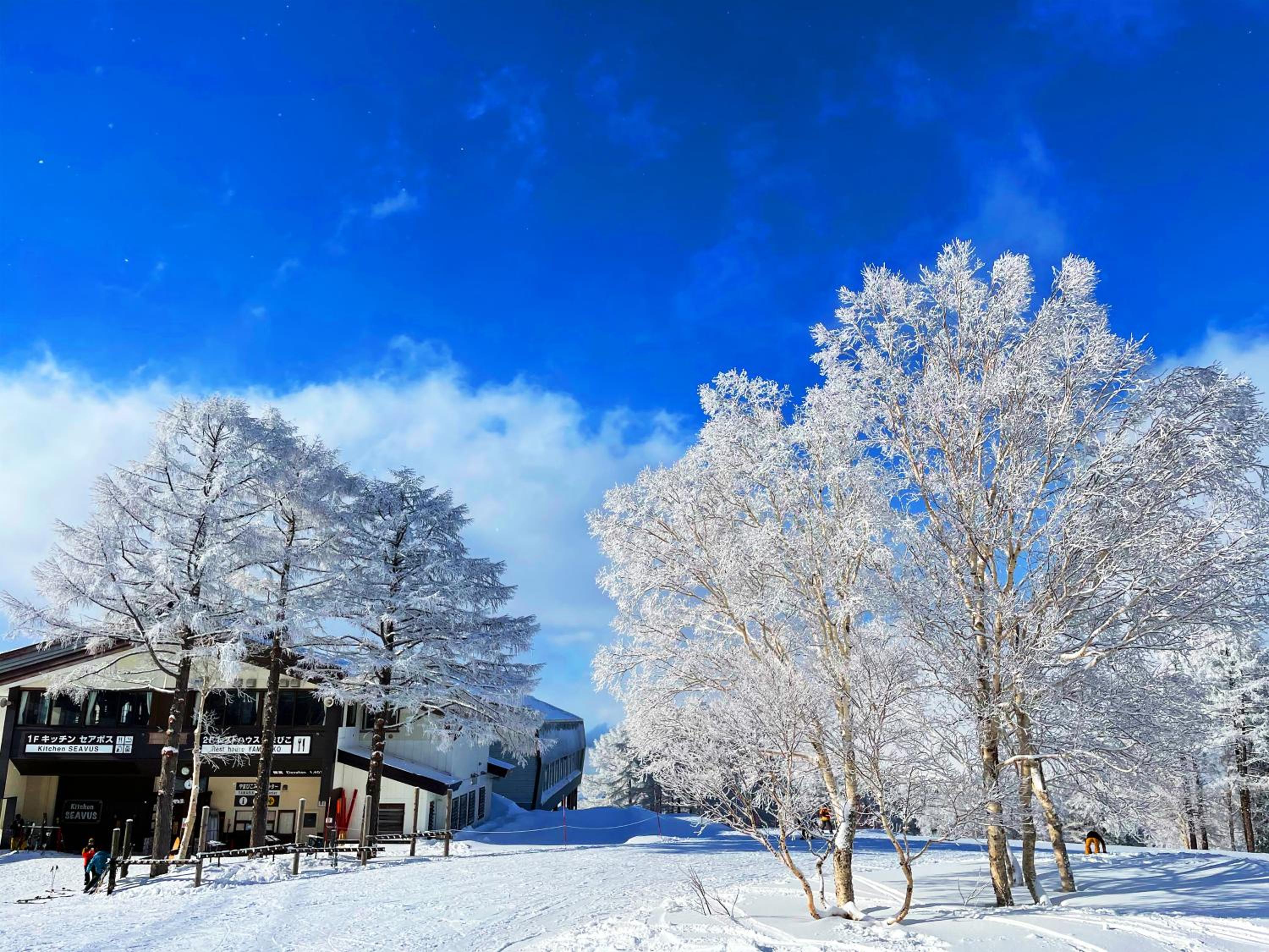 nozawasnow view 4