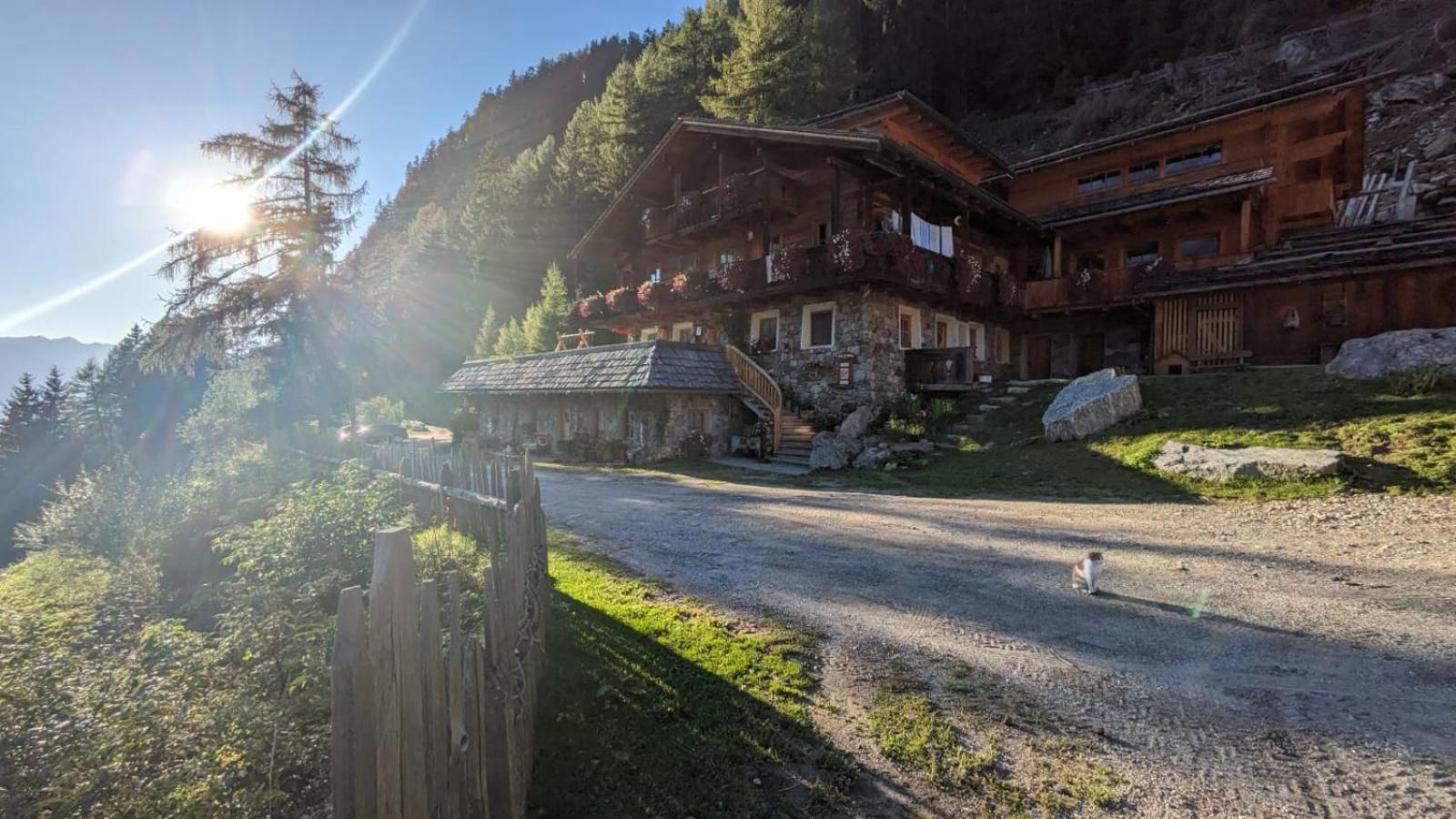 Kofler zw den Wänden Apt Enzian photo 2