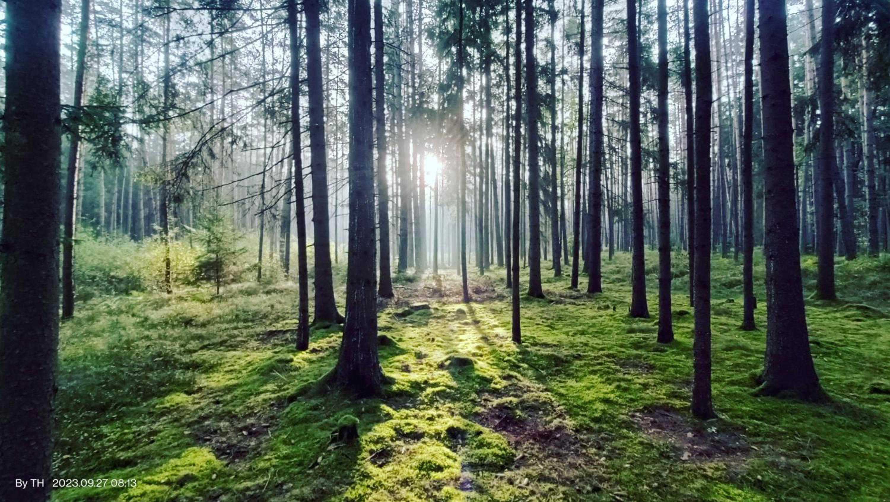 Chata Mareček - v lesní osadě u řeky Lužnice