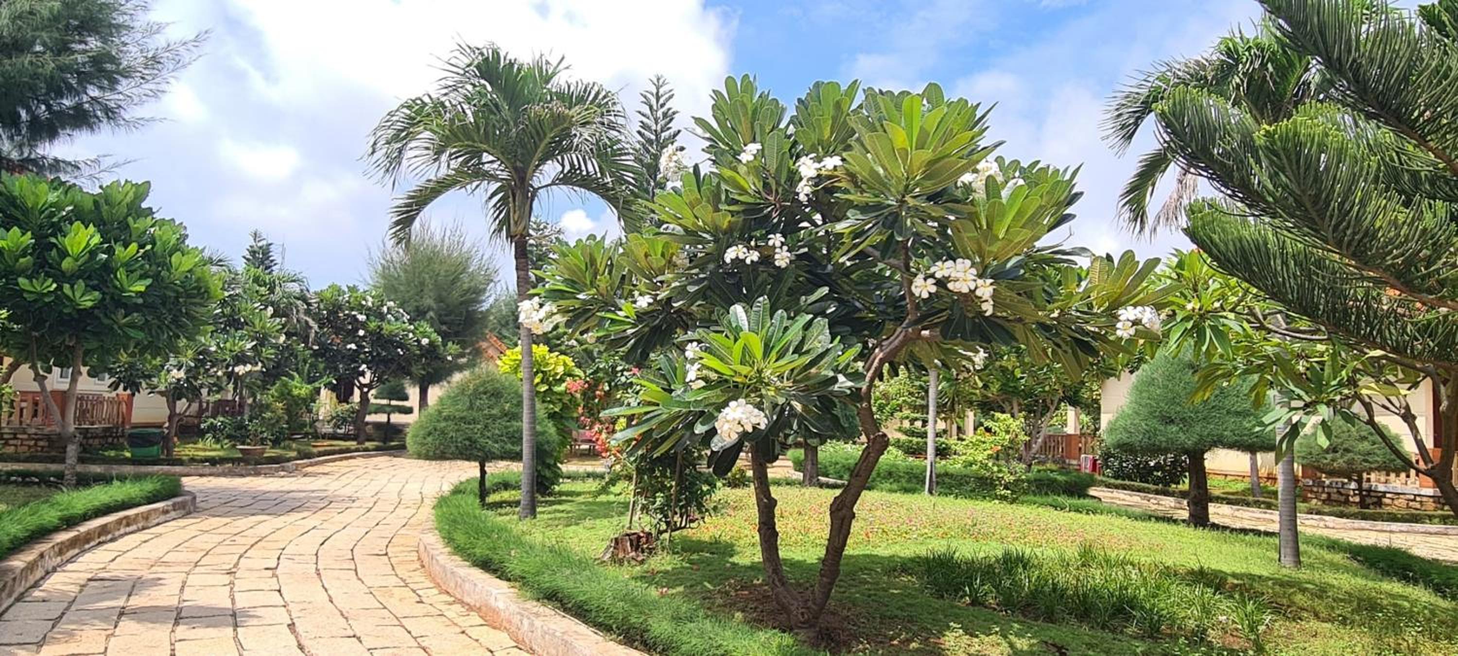 Hai Duong Intourco Resort, Vung Tau