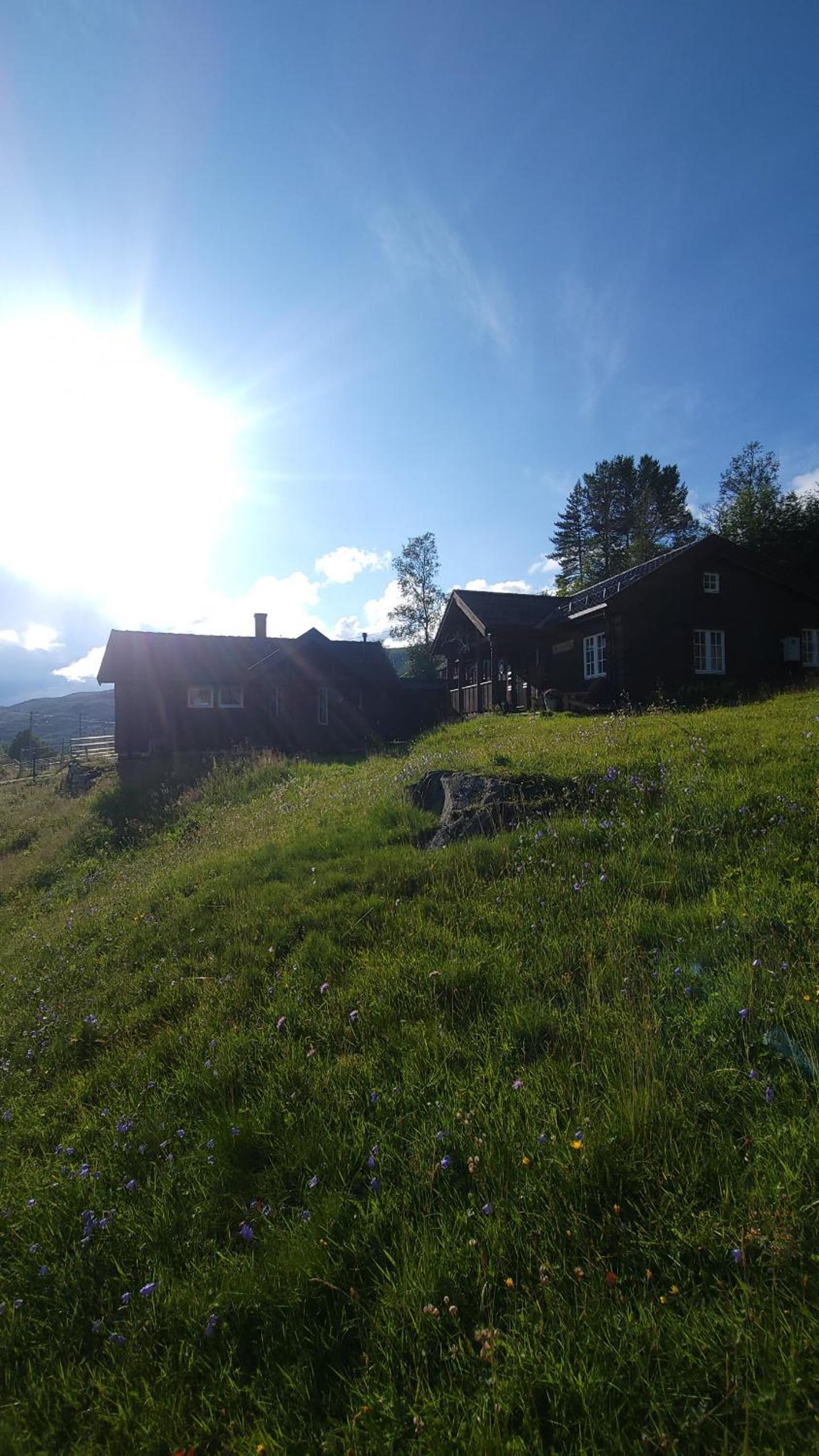 Photo 19