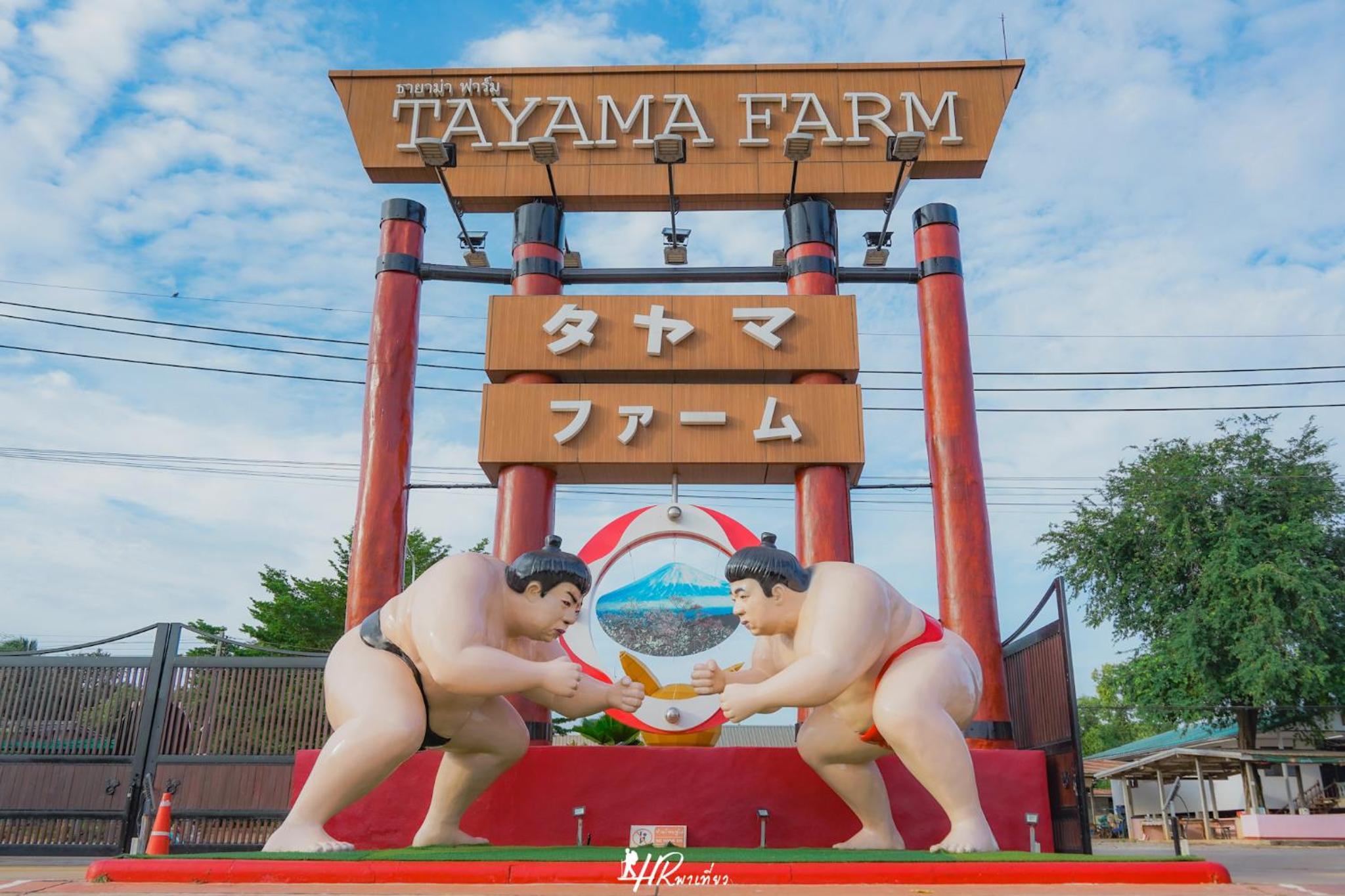 Tayama Farm Khaoyai view 4