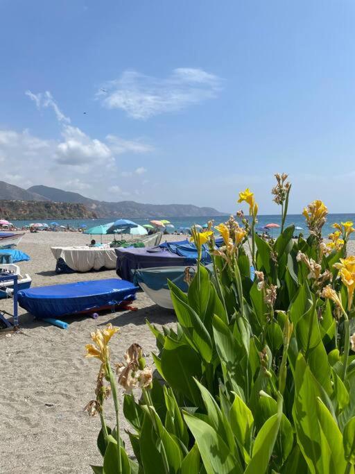 Lovely studio Nerja ground floor