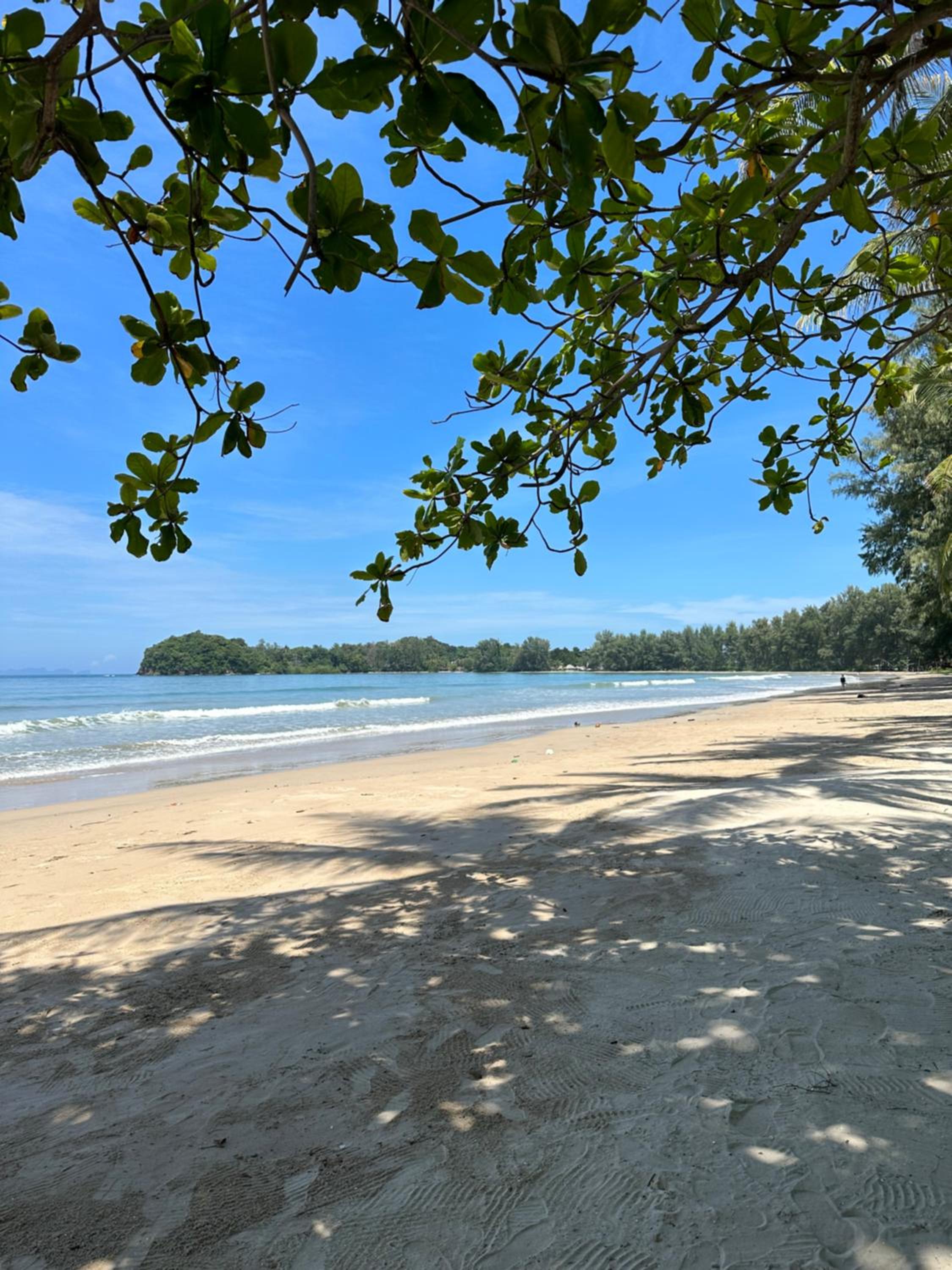 Noble House Beach Resort