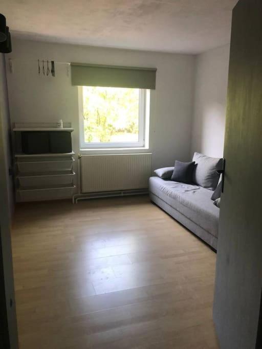 Camelia Apartment