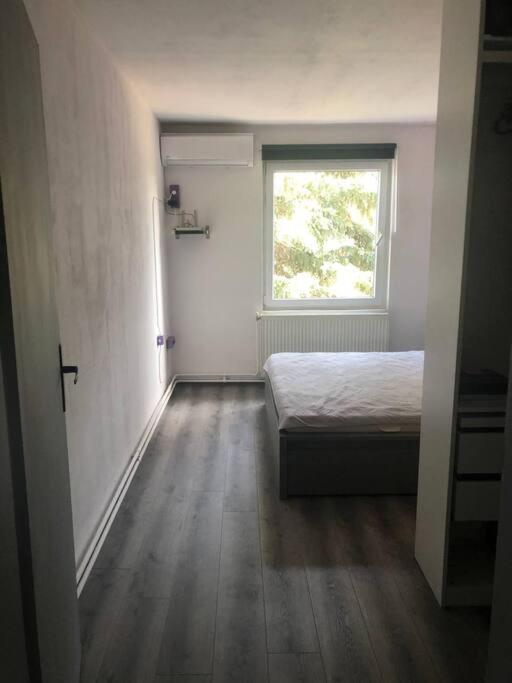 Camelia Apartment