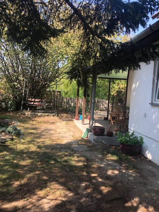 Camelia Apartment