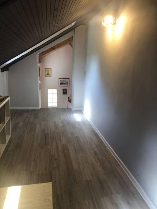 Camelia Apartment