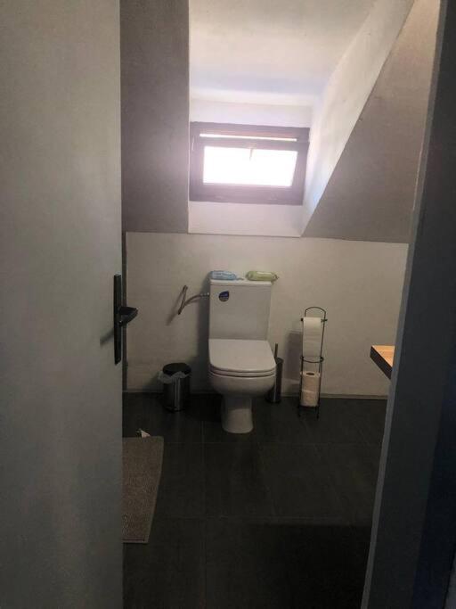 Camelia Apartment