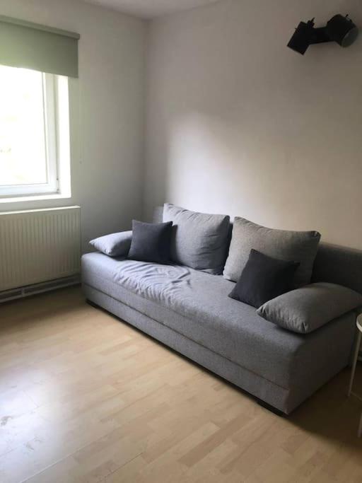 Camelia Apartment