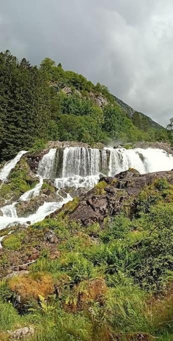 Photo 27