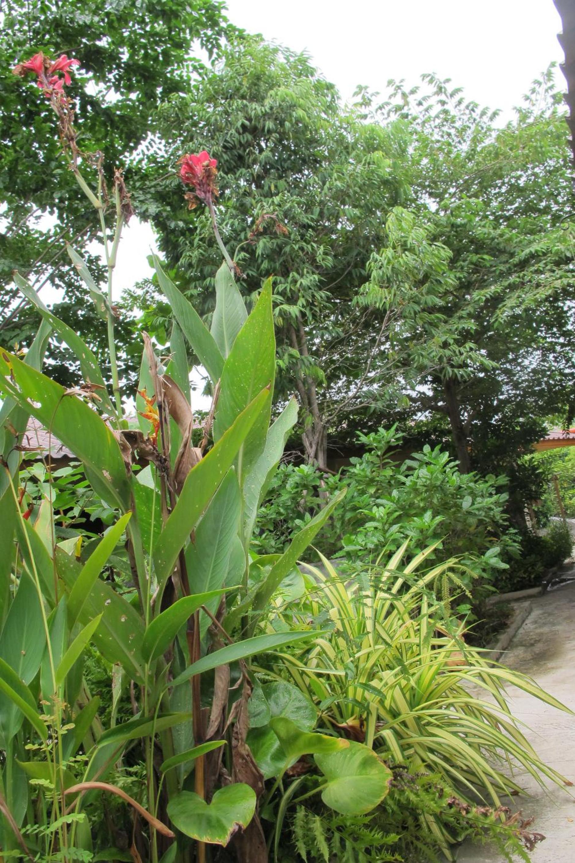 Q Zone Boutique House