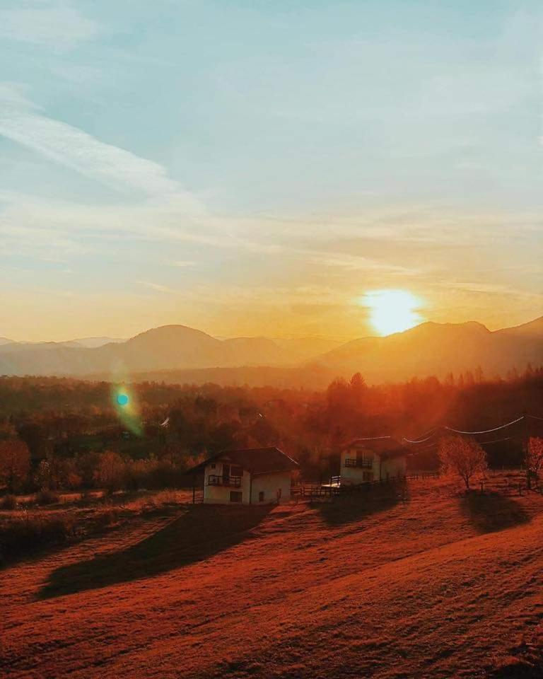 Top House cozy stay