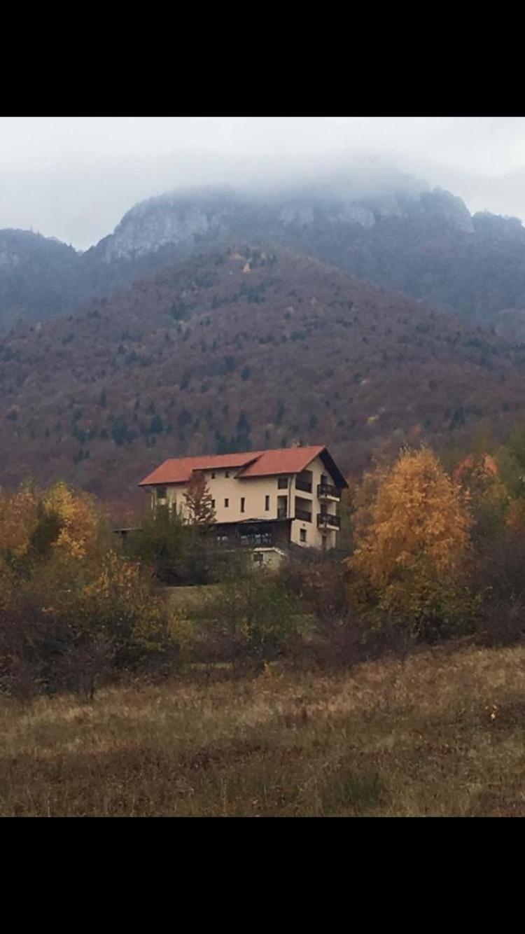 Top House cozy stay